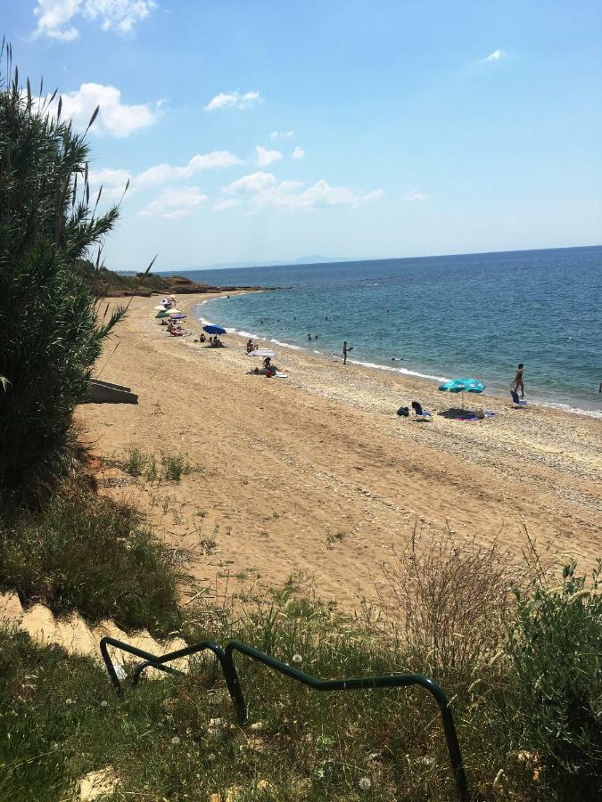Estate Irene Villa Alexandroupoli Exterior photo