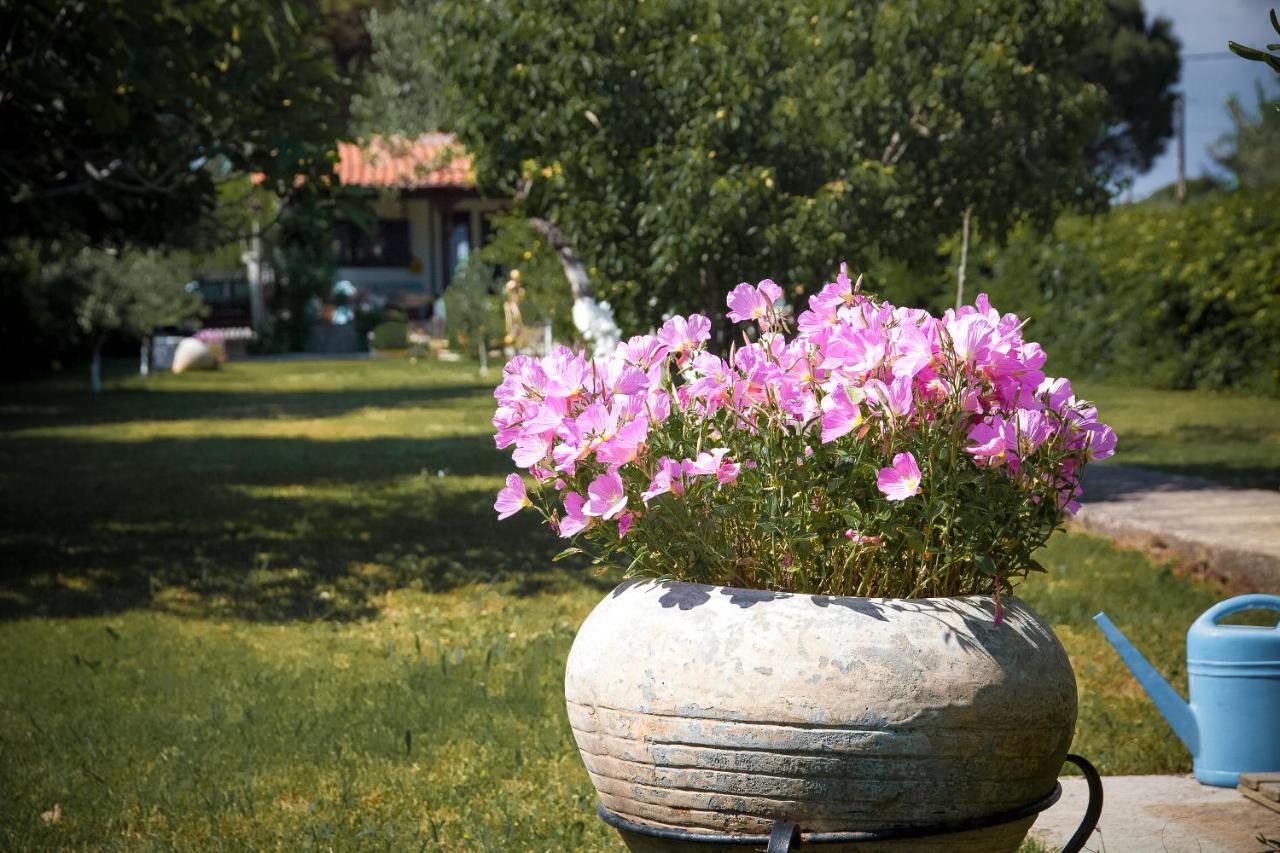 Estate Irene Villa Alexandroupoli Exterior photo